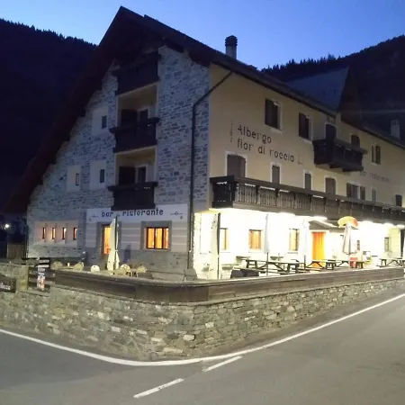 Fior Di Roccia - Valmalenco Lanzada